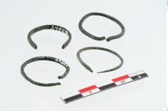 Foto von Bronzering (NHMW-PRAE-024587)